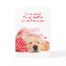 je ne dors pas le chiot du labo jaune valentine