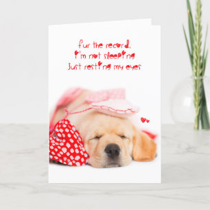 Cartes Pour Fêtes Annuelles je ne dors pas le chiot du labo jaune valentine