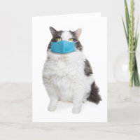 Je rate de voir ton chat gros visage dans le masqu