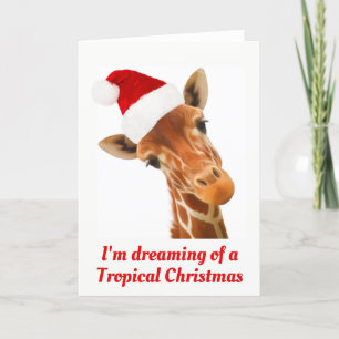 Cartes Pour Fêtes Annuelles Je rêve de Noël tropical   Ca