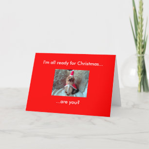 Cartes Pour Fêtes Annuelles Je suis prêt pour Noël...