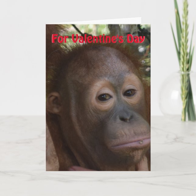 Cartes Pour Fêtes Annuelles Je t'aime Valentine soit le mien (Devant)