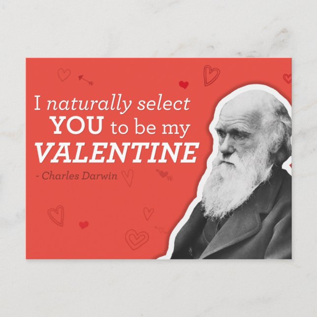 Cartes Pour Fêtes Annuelles Je Vous Choisis Naturellement Pour Être Mon Valent (Devant)