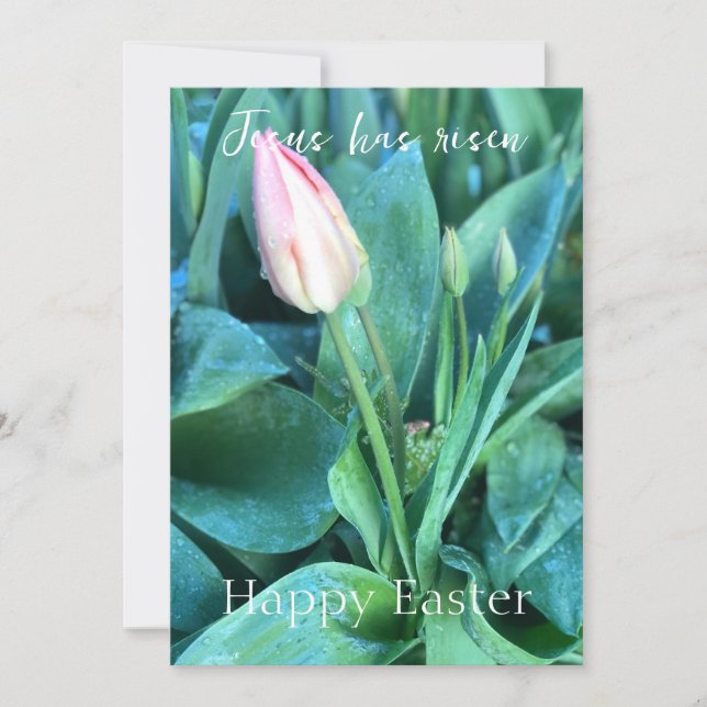 Cartes Pour Fêtes Annuelles Jésus Est Devenu Joyeux Pâques Photo Tulip Personn (Devant)