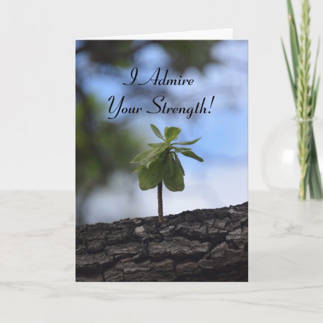 Cartes Pour Fêtes Annuelles Jeune arbre qui pousse à partir d'un journal (Devant)