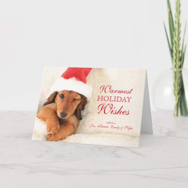 Cartes Pour Fêtes Annuelles Jeune Dachshund à poil long clignant de l'œil (Devant)