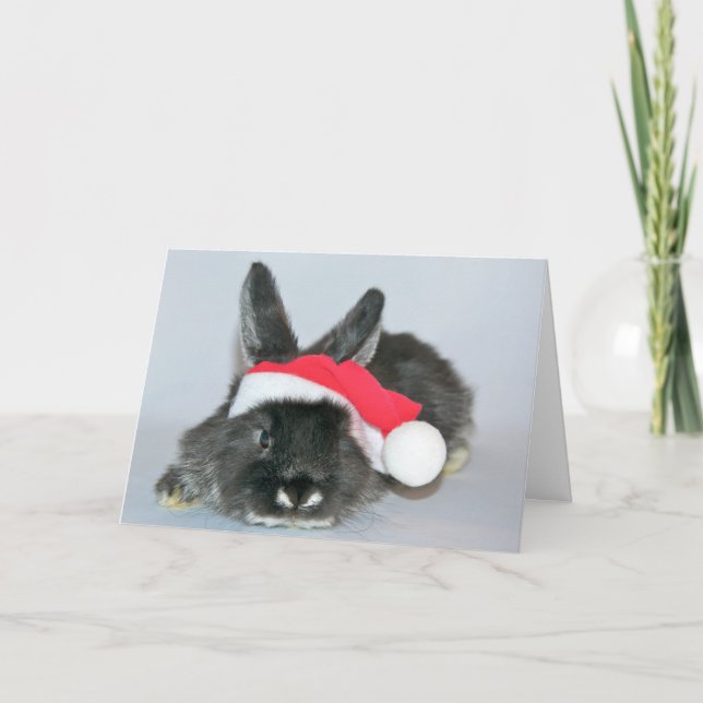 Cartes Pour Fêtes Annuelles Jeune lapin de Noël (Devant)