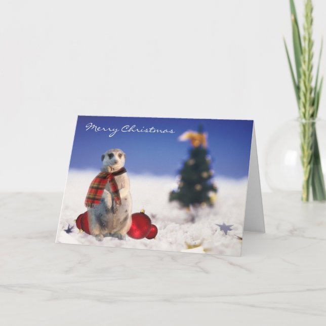 Cartes Pour Fêtes Annuelles Jo Jo bonjour vous souhaite un Joyeux Noël (Devant)