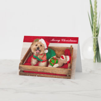 Cartes Pour Fêtes Annuelles Joey souhaite à chacun un Joyeux Noël