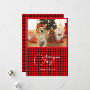 Cartes Pour Fêtes Annuelles Joie saisonnière Xmas Chiens et chat animal de com