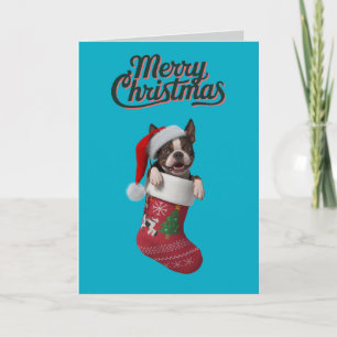 Cartes Pour Fêtes Annuelles Joli Boston Terrier Noël