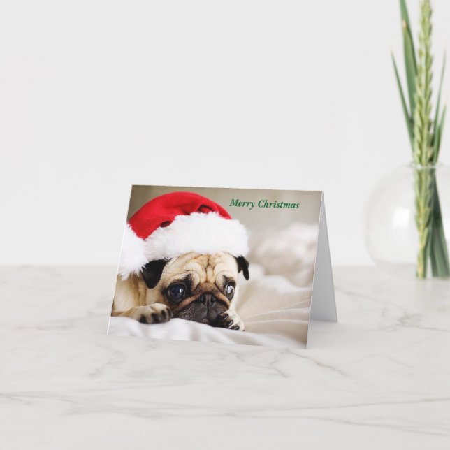 Cartes Pour Fêtes Annuelles Joli Carlin de Noël Puppy (Devant)