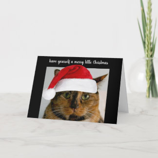 Cartes Pour Fêtes Annuelles Joli chat calico avec bonnet de Père Noël, personn