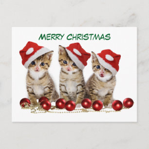 Cartes Pour Fêtes Annuelles Joli chatons de Noël