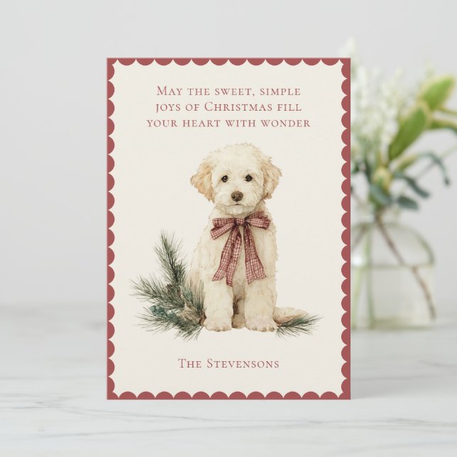 Cartes Pour Fêtes Annuelles Joli chien Labrador Pine Rouge Noël rustique (Debout devant)