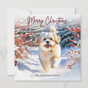 Cartes Pour Fêtes Annuelles Joli chien Lhasa Apso dans la neige Joyeux Noël