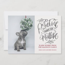 Joli chiot reniflant le gui de Noël