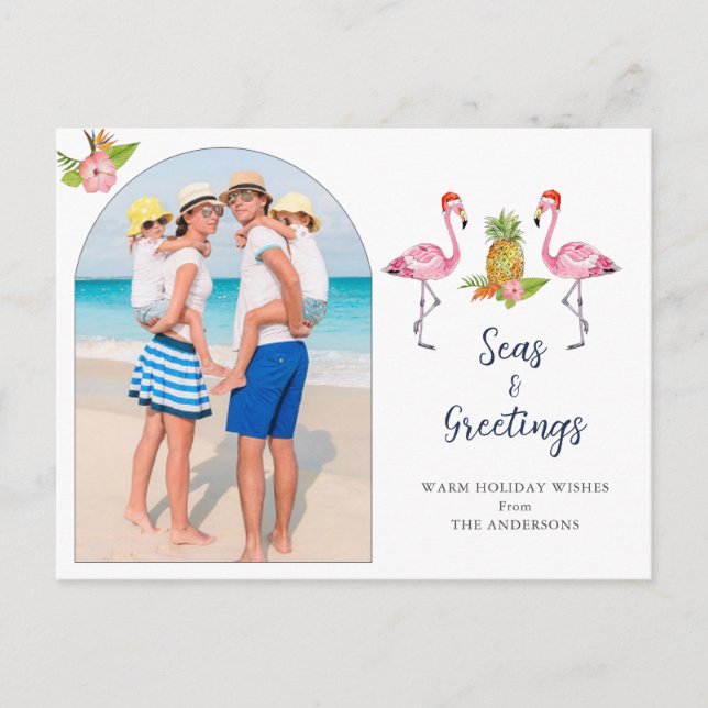 Cartes Pour Fêtes Annuelles Joli Flamants roses photo de Noël (Devant)