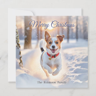 Cartes Pour Fêtes Annuelles Joli Jack Russell Chien hiver Neige Noël