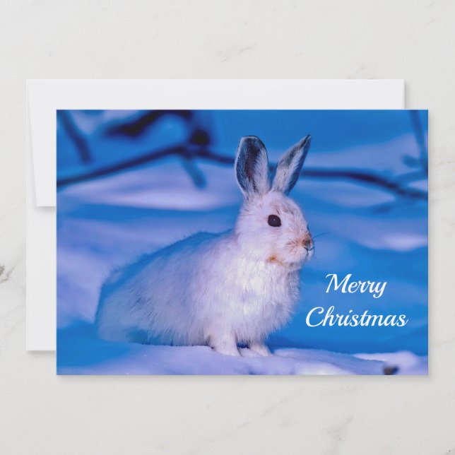 Cartes Pour Fêtes Annuelles Joli lapin blanc neige photo Appartement de Noël (Devant)