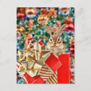 Cartes Pour Fêtes Annuelles Joli Noël Chipmunk