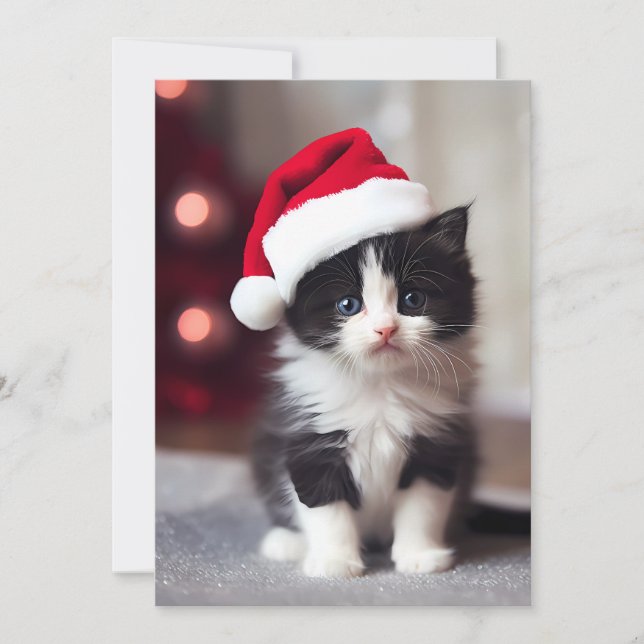 Cartes Pour Fêtes Annuelles Joli Noël Kitten (Devant)