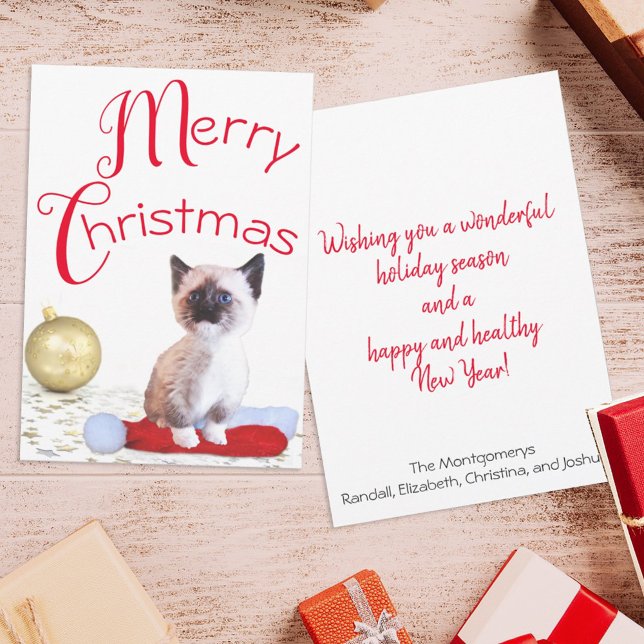 Cartes Pour Fêtes Annuelles Joli Noël Siamese Kitten Santa Hat (Créateur téléchargé)