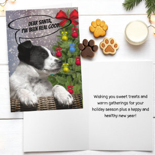 Cartes Pour Fêtes Annuelles Joli Noir Blanc Chiot Dream dans Snowfall Personna