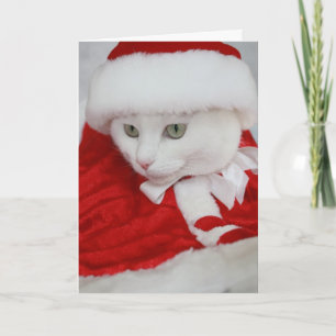 Cartes Pour Fêtes Annuelles Joli Père Noël blanc Kitty