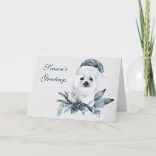 Cartes Pour Fêtes Annuelles Joli phoque de Noël pour bébé