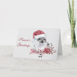 Cartes Pour Fêtes Annuelles Joli phoque de Noël pour bébé