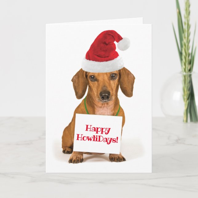 Cartes Pour Fêtes Annuelles Jolie Dachshund avec Santa Hat Joyeux HowliDays (Devant)