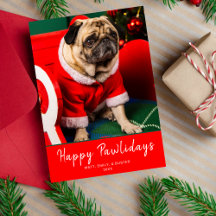 Jolie photo de chiot chien rouge et vert Joyeuses 