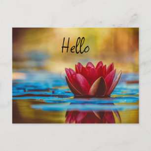 Cartes Pour Fêtes Annuelles Jolie photo d'une fleur de Lotus dans un étang