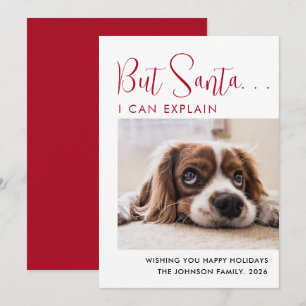 Cartes Pour Fêtes Annuelles Jolies Vacances Pet Photo