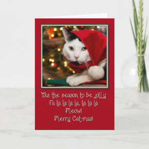 Cartes Pour Fêtes Annuelles Jolly Cat-mas