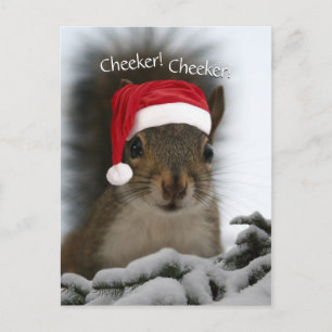 Cartes Pour Fêtes Annuelles Jolly Squirrel Porté Le Chapeau Du Père Noël ・ Pèr