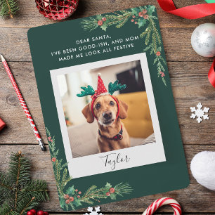 Cartes Pour Fêtes Annuelles Jote Animal Photo Script Drôle Chien Noël