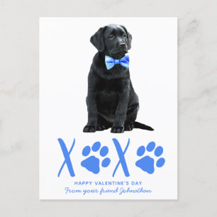 Cartes Pour Fêtes Annuelles Jour des Valentines de Chien Mignonne XOXO pour En