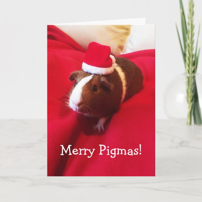 Cartes Pour Fêtes Annuelles Jours de Noël à Père Noël Guinea Pig (Devant)