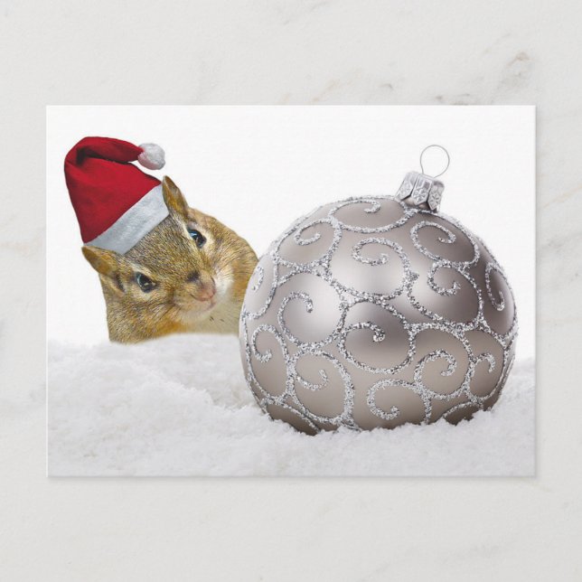 Cartes Pour Fêtes Annuelles Jours de Noël d'argent et de neige à Chipmunk (Devant)