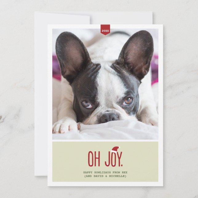 Cartes Pour Fêtes Annuelles Joy | Funny Holiday Photo (Devant)