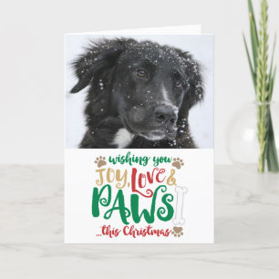 Cartes Pour Fêtes Annuelles Joy Love Paws Chien de Noël Photo