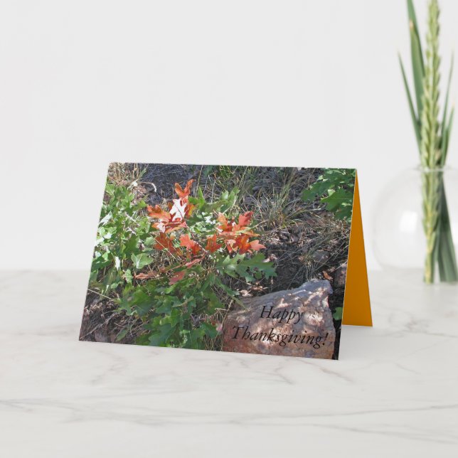 Cartes Pour Fêtes Annuelles Joyeuse Action de grâce ! par Janz (Devant)