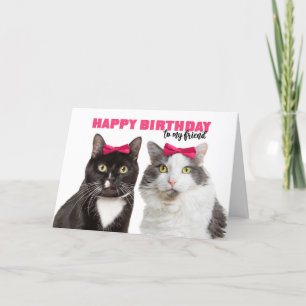Cartes Pour Fêtes Annuelles Joyeuse fête d'anniversaire Femme mignonne chats e