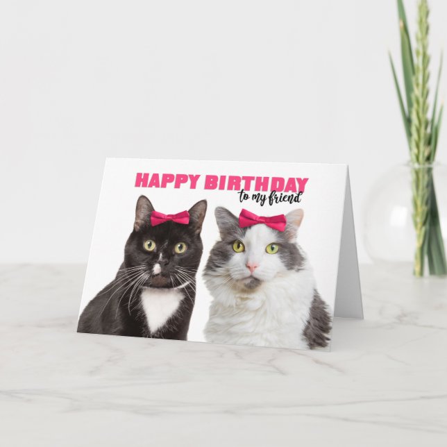 Cartes Pour Fêtes Annuelles Joyeuse fête d'anniversaire Femme mignonne chats e (Devant)