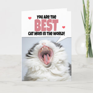 Cartes Pour Fêtes Annuelles Joyeuse Fête Des Mères Du Chat Cute Kitty Shouting