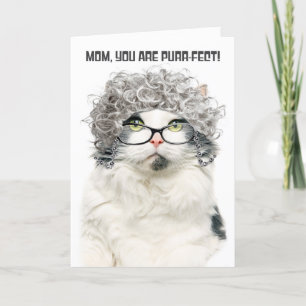 Cartes Pour Fêtes Annuelles Joyeuse Fête des mères Vieux Chat avec cheveux gri