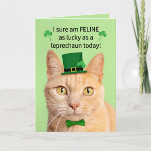 Cartes Pour Fêtes Annuelles Joyeuse Saint-Patrick ami Chat mignon Lutin
