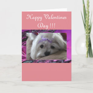 Cartes Pour Fêtes Annuelles Joyeuse Saint-Valentin
